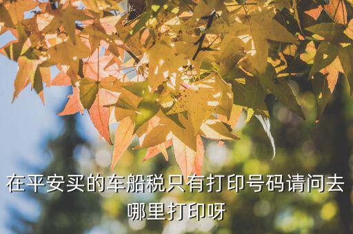 車船稅打印碼是什么，在平安買的車船稅只有打印號(hào)碼請(qǐng)問(wèn)去哪里打印呀