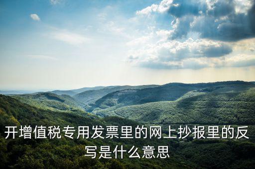 開(kāi)增值稅專(zhuān)用發(fā)票里的網(wǎng)上抄報(bào)里的反寫(xiě)是什么意思
