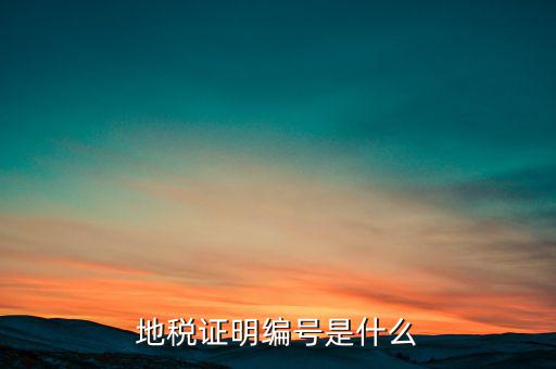 地稅登記序號是什么，地方稅納稅資料封面上稅務(wù)登記證號是甚么