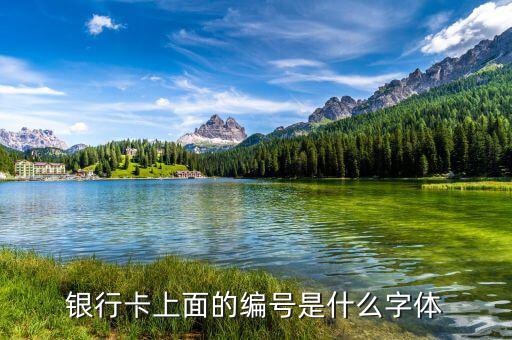 中國(guó)銀行數(shù)字字體是什么，中國(guó)銀行的標(biāo)是什么字體啊
