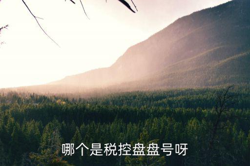 稅控盤號(hào)是什么，什么叫稅控盤號(hào)