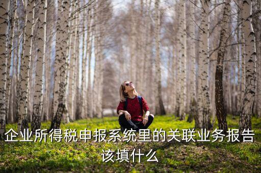 什么情況寫關聯(lián)申報，企業(yè)所得稅申報系統(tǒng)里的關聯(lián)業(yè)務報告該填什么