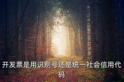 發(fā)票填寫統(tǒng)一社會代碼是什么，開發(fā)票要的稅號是統(tǒng)一社會代碼證號嗎