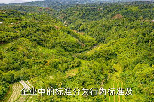 公司的標(biāo)準(zhǔn)是什么，企業(yè)中的標(biāo)準(zhǔn)分為行為標(biāo)準(zhǔn)及