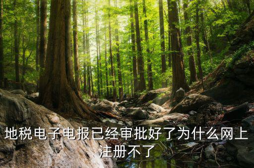 河地稅網(wǎng)上辦稅為什么注冊不了，地稅網(wǎng)上打印報表提示沒有注冊要怎么注冊呢