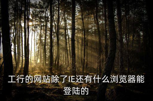 開票登陸的瀏覽器是什么，工行的網(wǎng)站除了IE還有什么瀏覽器能登陸的