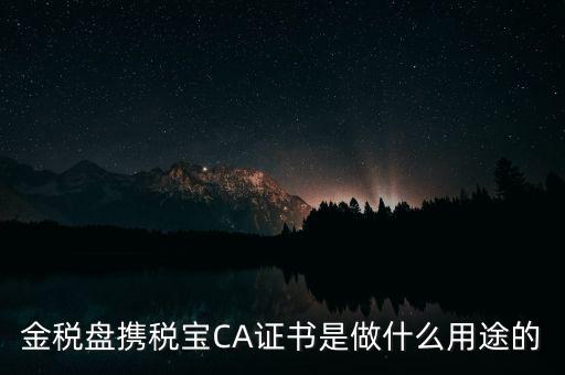 企業(yè)ca證書有什么用，財(cái)悠悠CA數(shù)字證書有什么作用對于企業(yè)可以起到什么作用
