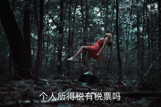 個人所得稅是什么發(fā)票，個人所得稅有稅票嗎