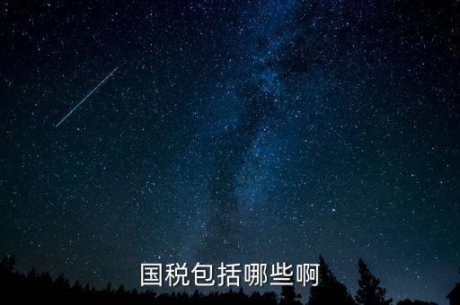 國稅涵蓋什么，國稅包括哪些啊