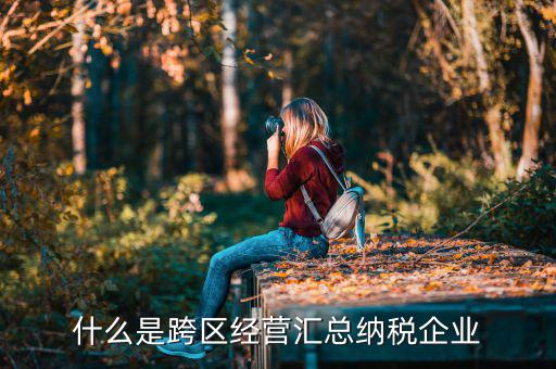 什么是跨地區(qū)經(jīng)營(yíng)企業(yè)所得稅，哪些企業(yè)屬于跨地區(qū)經(jīng)營(yíng)匯總繳納企業(yè)所得稅