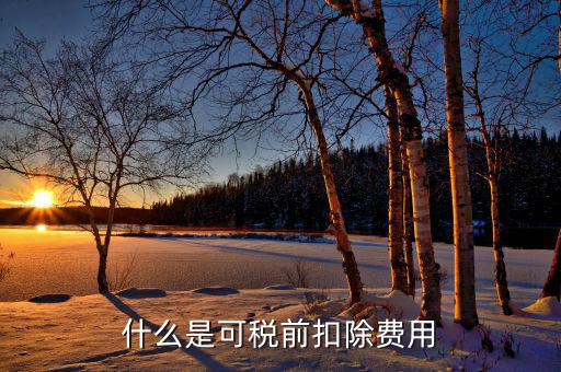 可扣除的稅款是什么，企業(yè)所得稅中可在所得稅前扣除的稅金包括