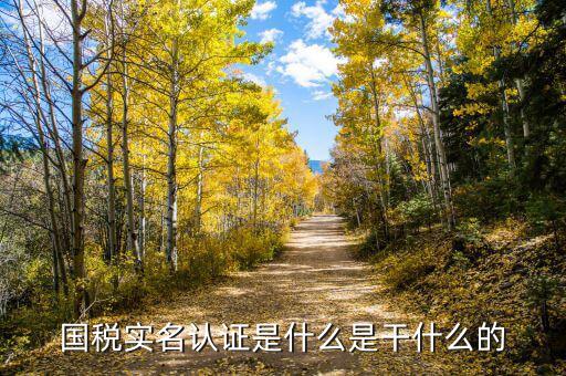 國(guó)稅局實(shí)名認(rèn)證是什么，今天國(guó)稅局叫去實(shí)名認(rèn)證認(rèn)證是不是就得交