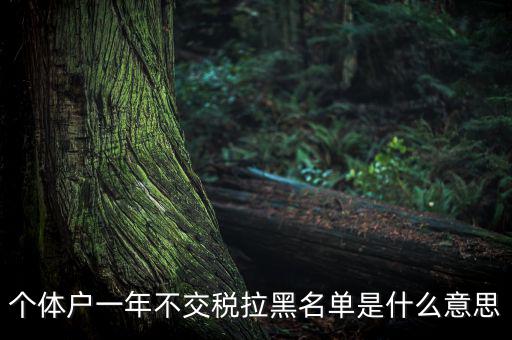 什么是納稅信用黑名單，個體戶一年不交稅拉黑名單是什么意思