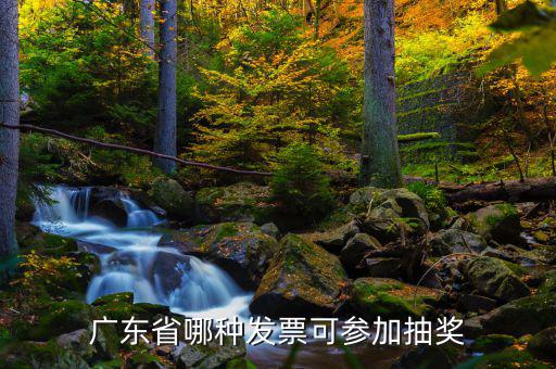 什么發(fā)票可以抽獎，廣東省哪種發(fā)票可參加抽獎