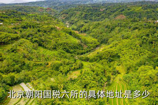 國(guó)稅六辦指什么，北京朝陽國(guó)稅六所的具體地址是多少