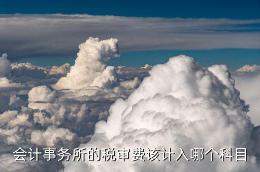 會計事務(wù)所的稅審費該計入哪個科目