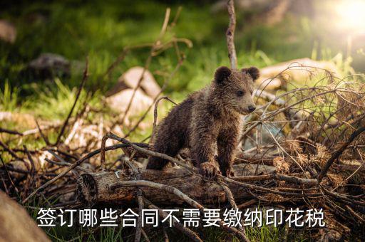 什么合同需要交印花稅，要交印花稅的合同有哪些