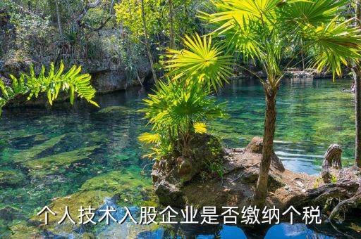 個人專利入股繳什么稅，請教稅法高手個人專利技術(shù)入股需繳稅嗎