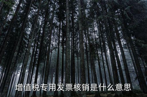 增值稅專用發(fā)票核銷(xiāo)是什么意思