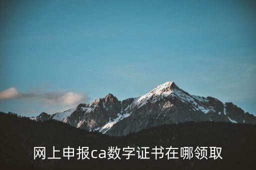申報領取什么CA，財務報稅的ca通道是什么