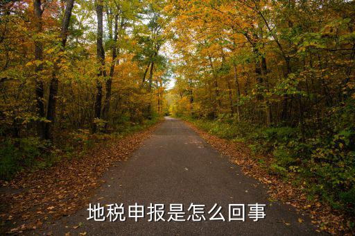 地稅為什么每月申報，想問下地稅每月都要申報的我剛接觸這個不太懂公司也是新開的