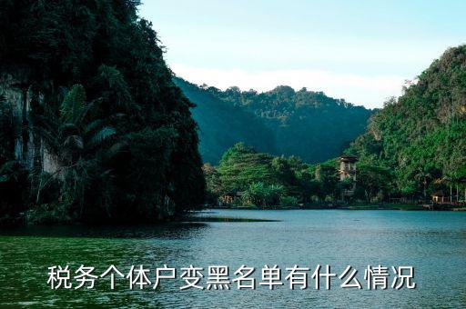 納稅黑名單什么意思，個體戶一年不交稅拉黑名單是什么意思