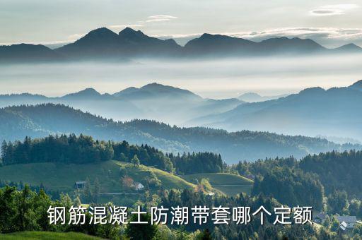 迎春套什么定額，套什么定額