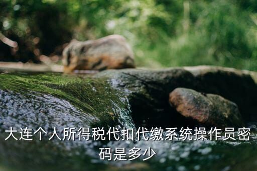 大連個人所得稅代扣代繳系統操作員密碼是多少