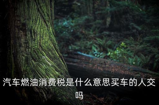 成品油消費(fèi)稅什么意思，成品油消費(fèi)稅和燃油稅