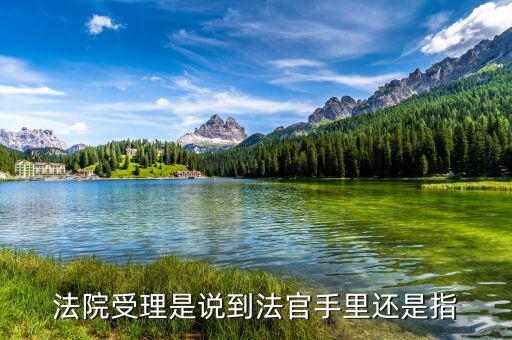 文書受理是什么意思，請(qǐng)問(wèn)雙定調(diào)整受理文書這是什么意思