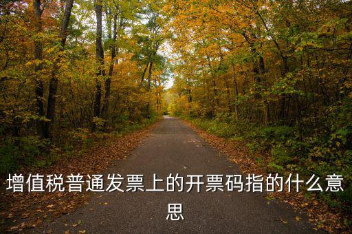 什么是發(fā)票信息碼，增值稅普通發(fā)票上的開票碼指的什么意思