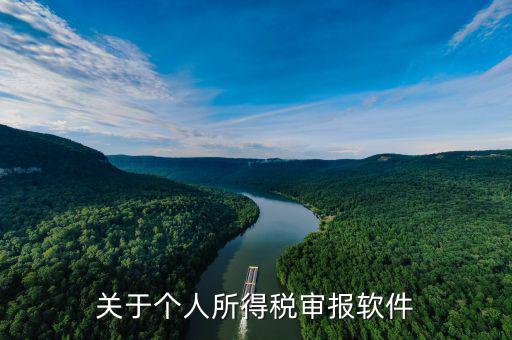 申報個稅的APP叫什么，申報個稅軟件
