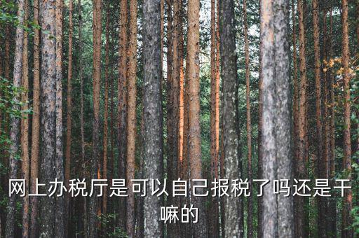 什么是網上辦稅服務廳，電子申報管理系統(tǒng)和網上辦稅大廳有什么不同的