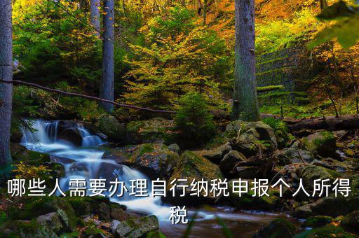 自行申報(bào)納稅是什么，所得稅自行納稅申報(bào)納稅名詞解釋