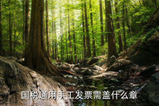 手工發(fā)票需注意什么，關(guān)于手工發(fā)票填開的問題
