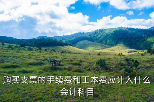 購買支票的手續(xù)費(fèi)和工本費(fèi)應(yīng)計(jì)入什么會計(jì)科目