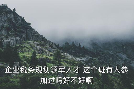 稅務(wù)領(lǐng)軍人才做什么，常溫下超導(dǎo)體可用來做什么