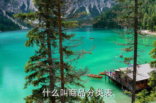 商品服務(wù)分類表包括什么問題，什么叫商品分類表