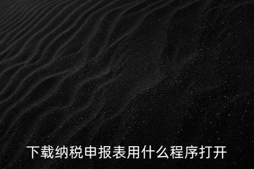 下載納稅申報(bào)表用什么程序打開(kāi)