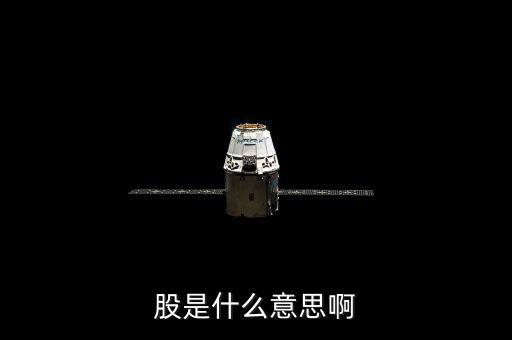 人教股什么意思，股是什么意思啊