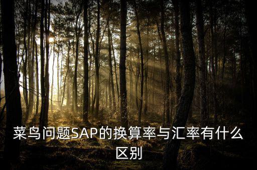 菜鳥問(wèn)題SAP的換算率與匯率有什么區(qū)別