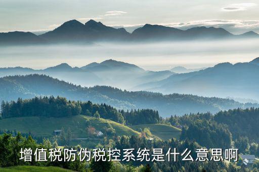 防偽稅控盤是什么，什么是防偽稅控系統(tǒng)金稅請解釋詳細明白點