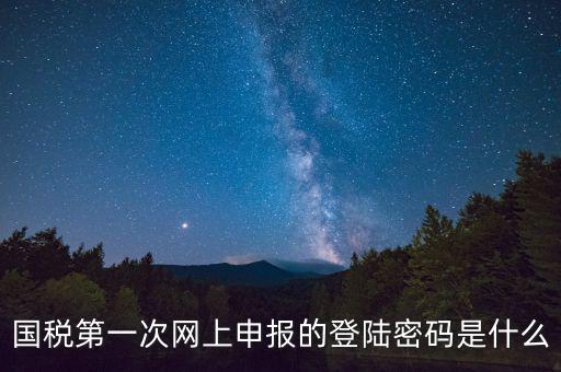 國稅登錄賬號密碼是什么意思，國稅第一次網(wǎng)上申報的登陸密碼是什么
