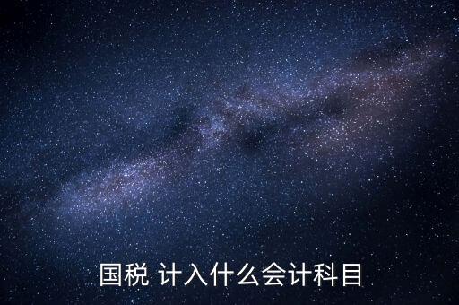 國稅申報記入什么科目，付國稅應(yīng)計入什么科目求解啊