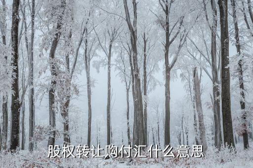什么是售付匯，股權(quán)轉(zhuǎn)讓購付匯什么意思