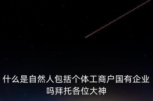 稅務(wù)上的自然人指的是什么，申請(qǐng)人為自然人的是什么意思