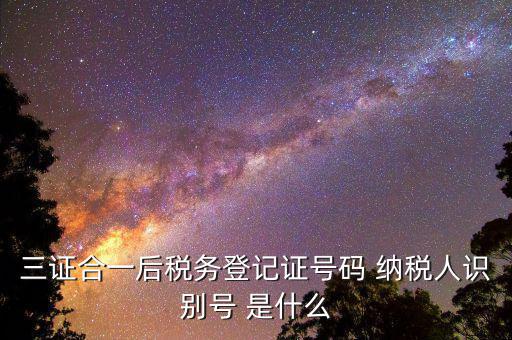納稅人識(shí)別號(hào) 稅務(wù)代碼是什么意思，納稅人識(shí)別號(hào)是什么