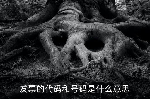什么是打發(fā)票代碼，請教各位什么事發(fā)票代碼