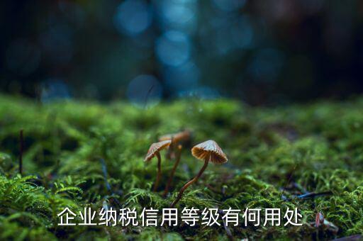 納稅等級有什么用，請問什么是分級別納稅信用單位怎么得到這種稱號得到了又有啥好