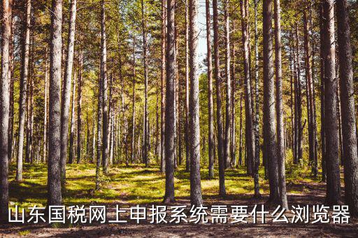 國稅網(wǎng)站用什么瀏覽器，山東國稅網(wǎng)上申報系統(tǒng)需要什么瀏覽器